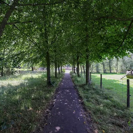 Oda ve Kahvaltı Klein Beek Hilvarenbeek